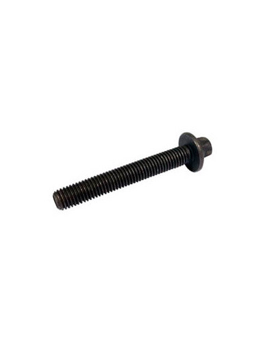 FLANGE SCREW