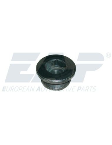 AXLE MAGNETIC PLUG