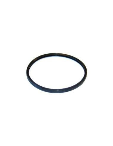 GASKET (THERMOSTAT HOUSING)