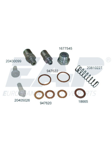 FUEL PUMP VALVE KIT