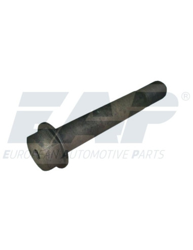 FLANGE SCREW