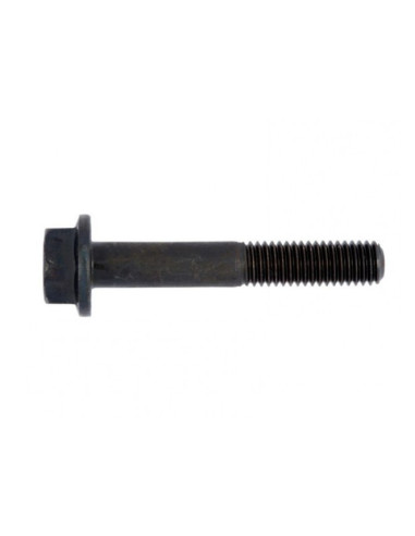 FLANGE SCREW