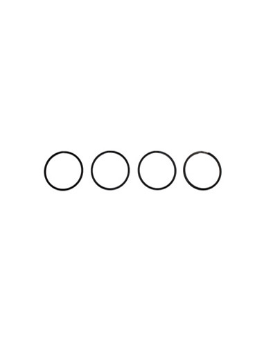 SEALING RING (MANIFOLD)